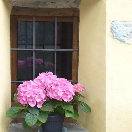 Le Chaton Fait Ronron * Quart