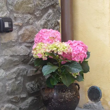 منزل ريفي Le Chaton Fait Ronron *