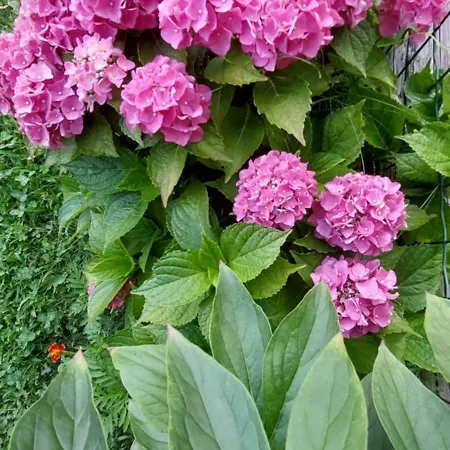 Le Chaton Fait Ronron منزل ريفي Quart