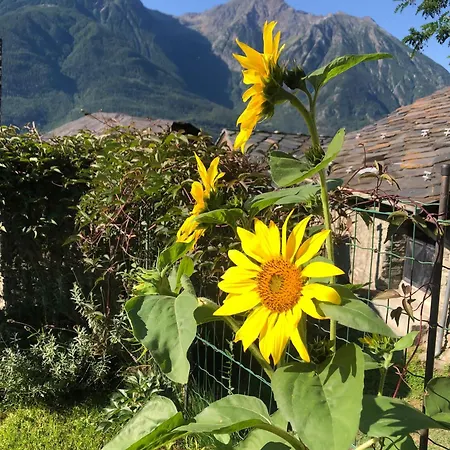 Country house Le Chaton Fait Ronron