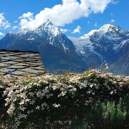 乡村民宿 Le Chaton Fait Ronron *